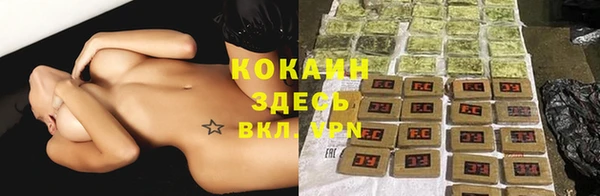 ешки Белокуриха