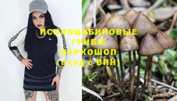 эйфоретик Белоозёрский